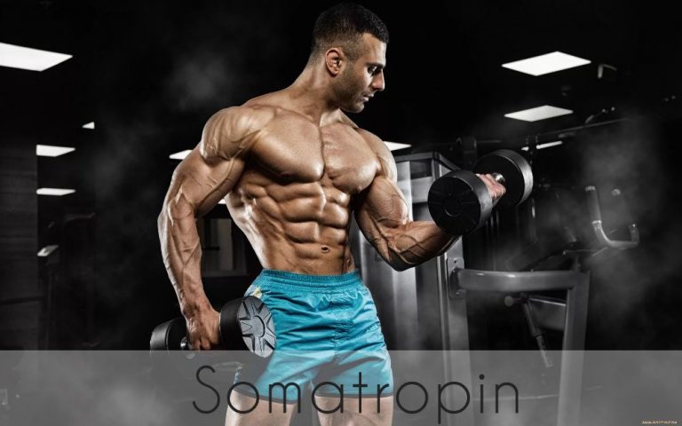 Is Somatropin really the main hormone of bodybuilding?