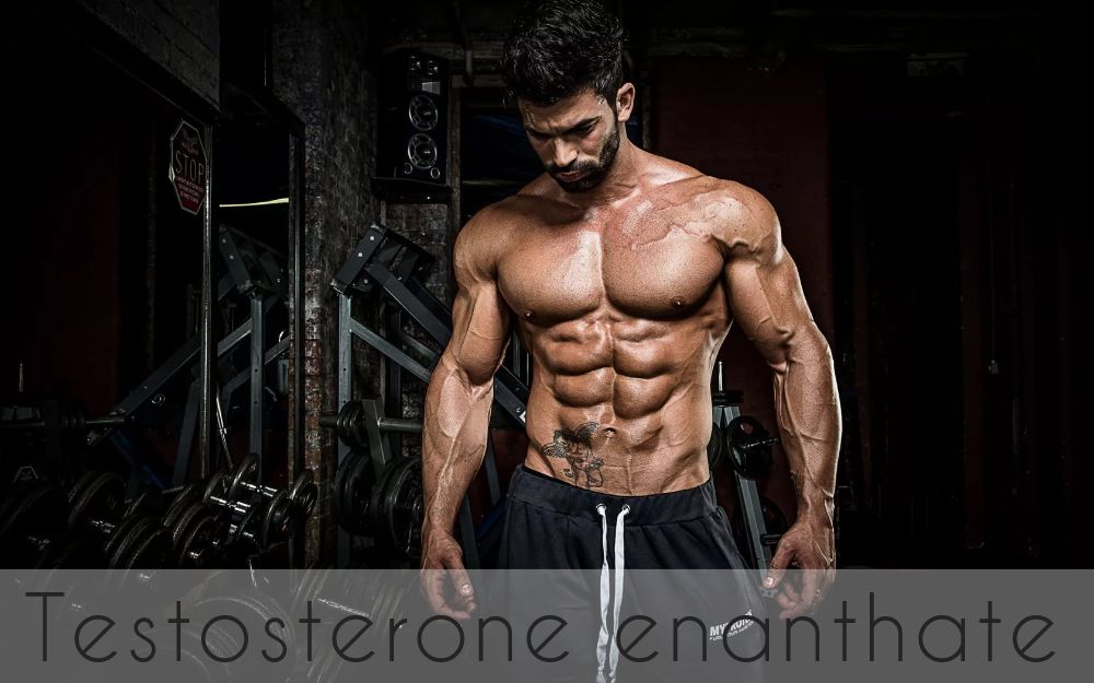 Testosterone Enanthate – the king of Anabolic Steroids - Secrets of