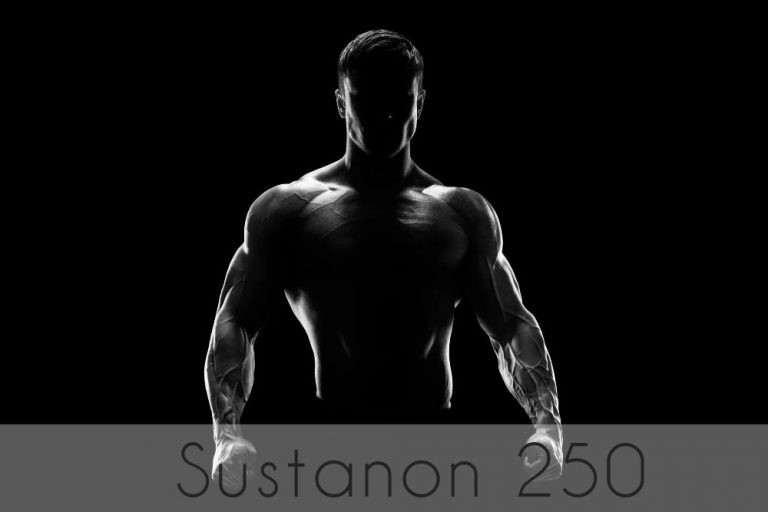 Detailed description of the steroid drug Sustanon 250