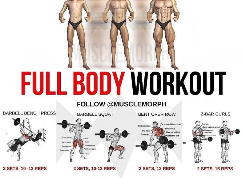 How To Create A Full Body Workout Plan