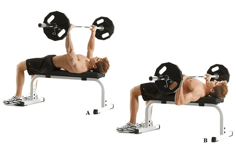 Barbell Bench Press