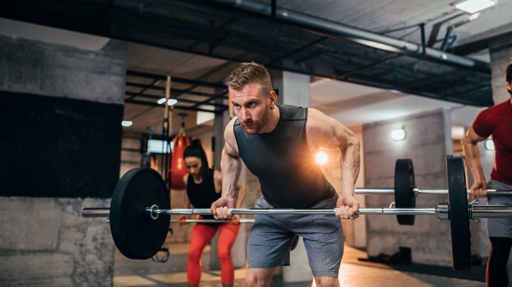 bent-over barbell row back exercise for beginners