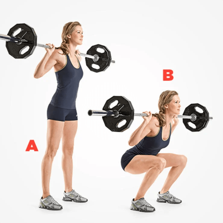 Barbell Squat