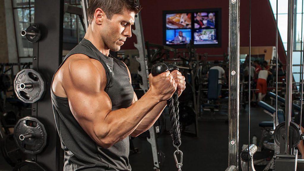 standing bicep cable curls
